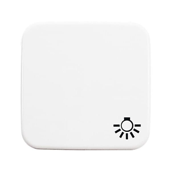 Busch-Jaeger Wippe aws mit Symbol Licht 2520 LI-214